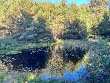 23-09-24 17-10-01 7406